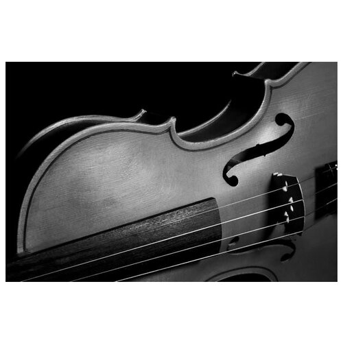      (Violin) 15 75. x 50.,  2690 