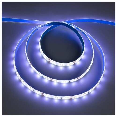  1045 C  Ecola PRO 5 , IP65, SMD2550, 60 LED/, 19 /, 12 , 6000