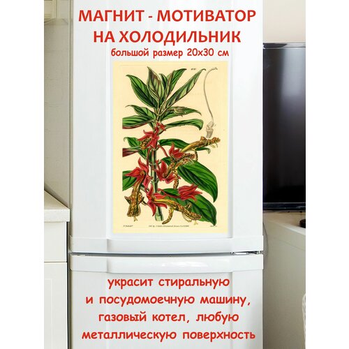������ 790� �������� ������ ������ �� ����������� 20 �� 30 ��