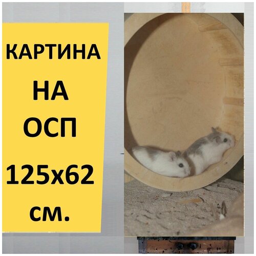 ������ 2980� ������� �� ��� 