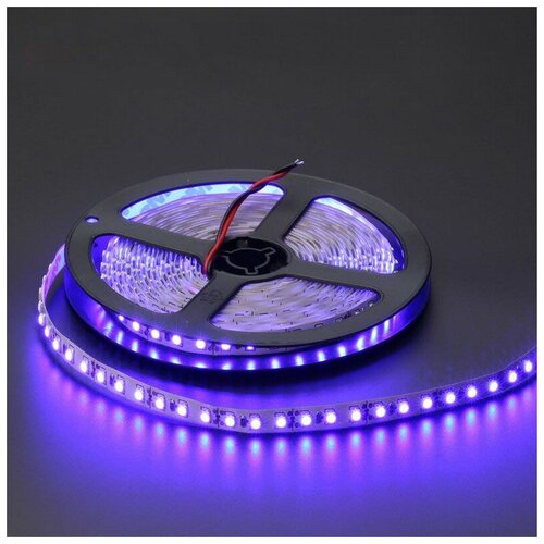  2400   SMD3528-120LED-IP33 12  5. -  :