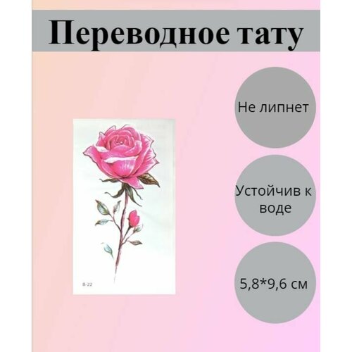 ������ 195� ���������� ���������� ��������� ��� �������� � ����� �� ���� �� ����