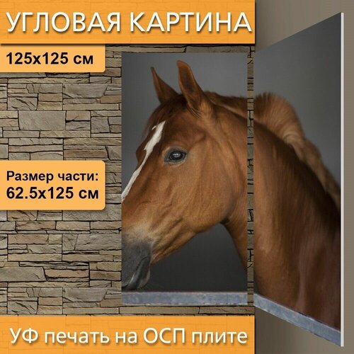 ������ 4970� ������� ��������� ������� 