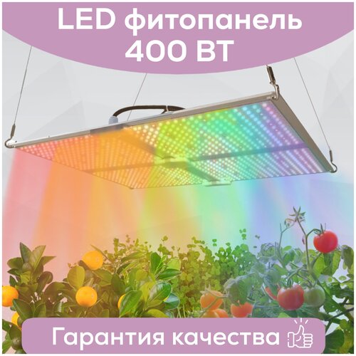  25800    Megaphoton LED 400  , . Quantum Board ( )