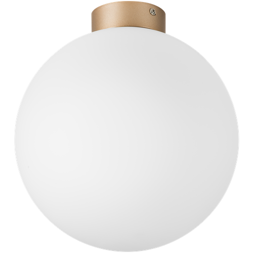  7122 812033 (MX8131-1B-L )  GLOBO 140W E14 champagn gold/white ( )