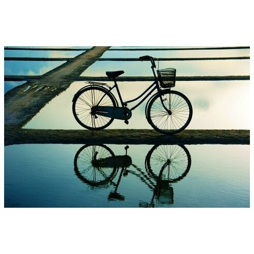 1350     (Bicycle) 3 46. x 30.