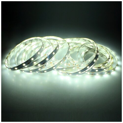  1900   SMD2835 60-IP33-12 5. -  : 5500-6000K