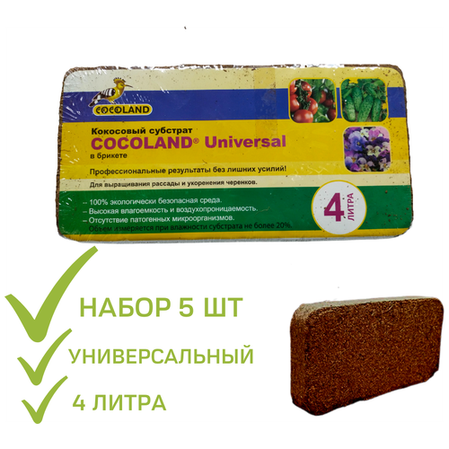  900     Cocoland Universal  5  ( ) 4 