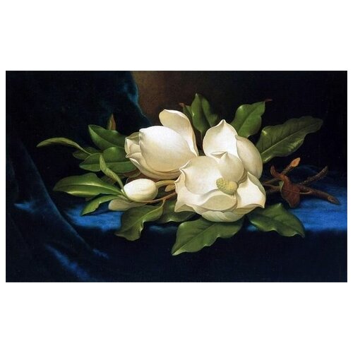  2070        (Giant Magnolias on a Blue Velvet Cloth)    65. x 40.