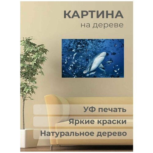 ������ 1001� ����������� ������� �� ������ 