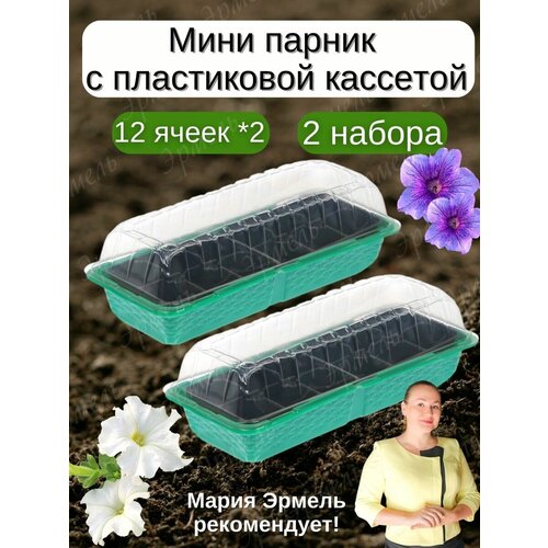 ������ 484� ���� ������ �� ���������� / ������ ��� ������� �� ����
