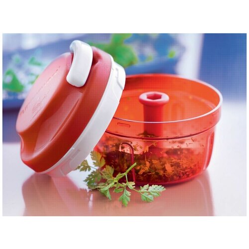  3399  Tupperware 