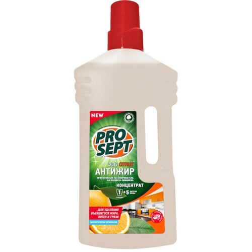  572   Prosept Duty Citrus , , 1 