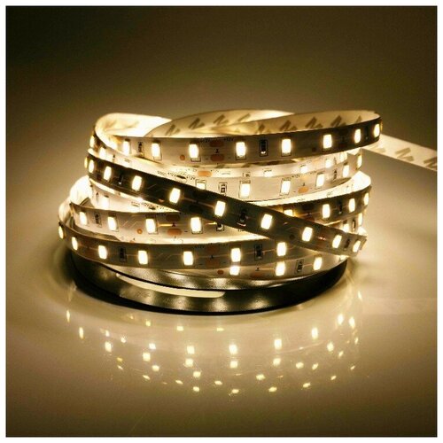  1900   SMD 5360, 60 /, , 12 , : , IP33 5. -  :  3000-3500K