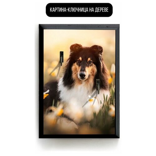 ������ 619� �������� ��������� ���������� 20x30 �� �������� - 170 �