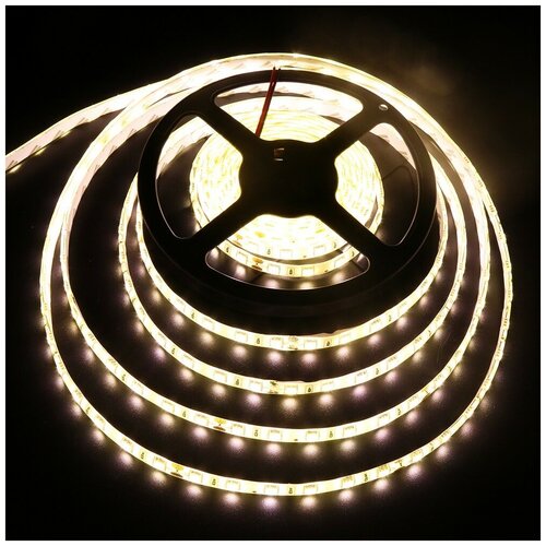  2900  : SMD5050-60LED-IP65-24 5. -  :  3000-3500K