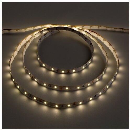  318   Ecola STD 5 , IP20, SMD3528, 60 LED/, 4.8 /, 12 , 2800