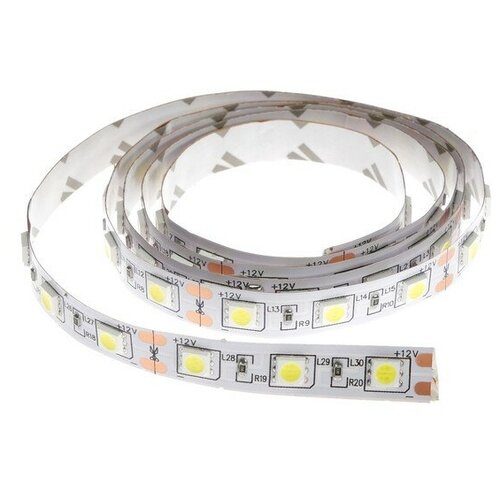  332   Ecola 1 , IP20, SMD5050, 60 LED/, 14.4 /, 12 , 6000