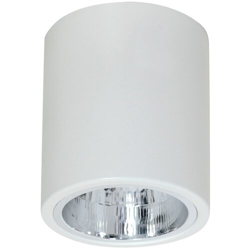  1880   Downlight Round 7236 Luminex