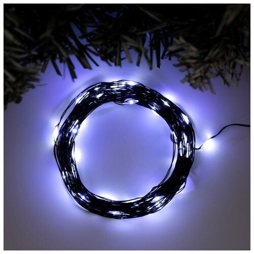 ������ 559� Luazon Lighting �������� ������ 10 � ����, IP20, ������ ����, 100 LED, �������� ������, 12 �