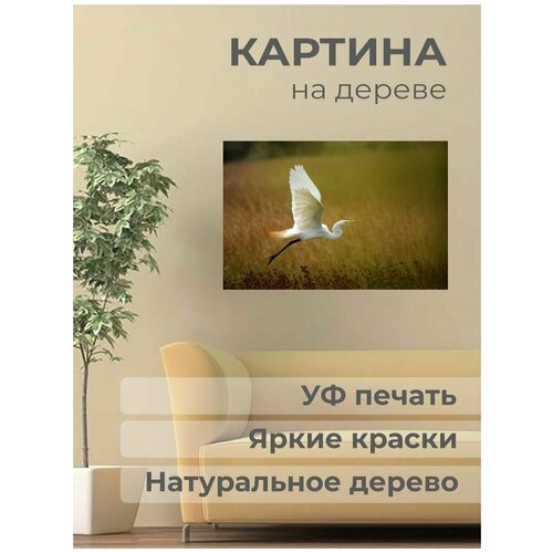 ������ 1101� ������. ������� �� ������ 