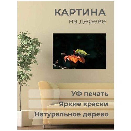 ������ 1001� ����������� ������� �� ������ 
