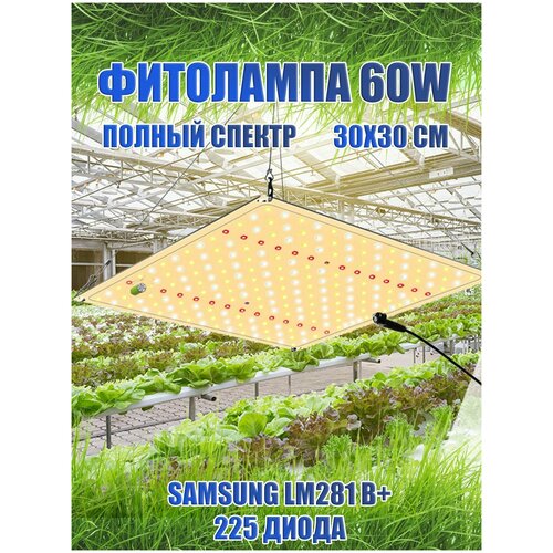  3500  60/ Samsung LM281b+/ quantum board/  /  sl-600 / 4000, 450-660 /    