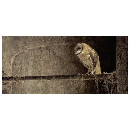  2620     (Owl) 2 87. x 40.