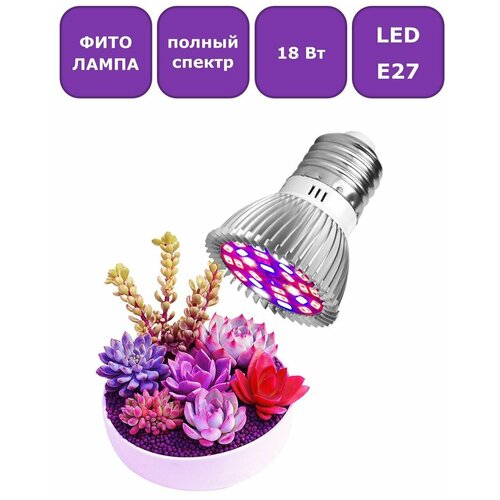  449   (  )   Maple Lamp PhytoLED, 27, 18 , . Q0048-E27-18-Full