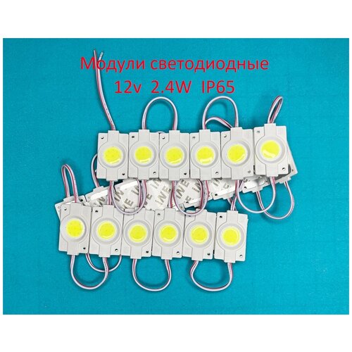  499   COB 12v 2.4W IP65 Ƹ 20