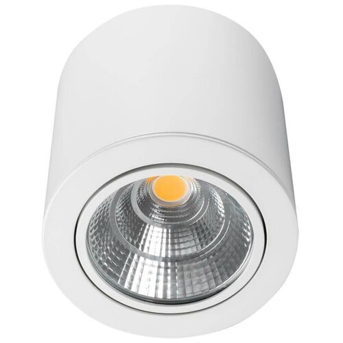  6925   Arlight SP-FOCUS-R140-30W Day White 021428