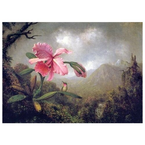  1870       (Orchids and Hummingbird) 7    56. x 40.