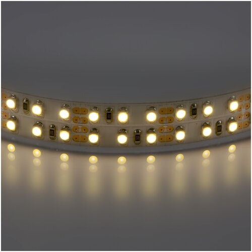  262  400022 LED 12V 19,2W 3528    Lightstar