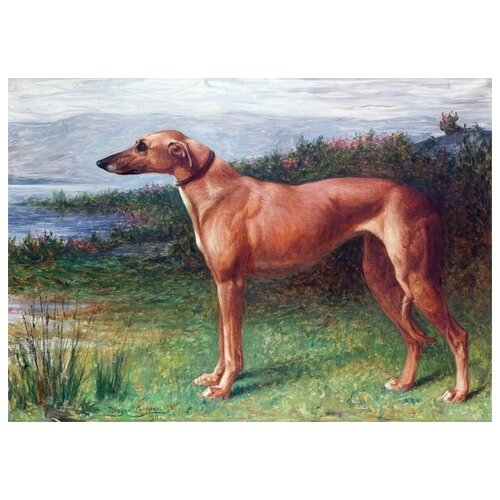  1870     (Dog) 5 56. x 40.