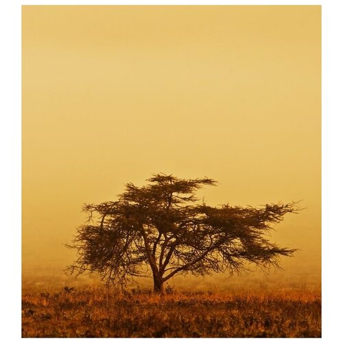  2810       (Tree in Africa) 5 60. x 67.