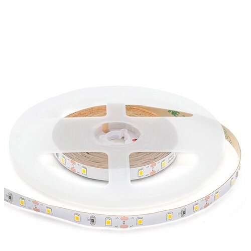 ������ 1610� ������������ ����� Apeyron 12� 4,8��/� smd3528 60�/� 280��/� ������� ����� (5 �)