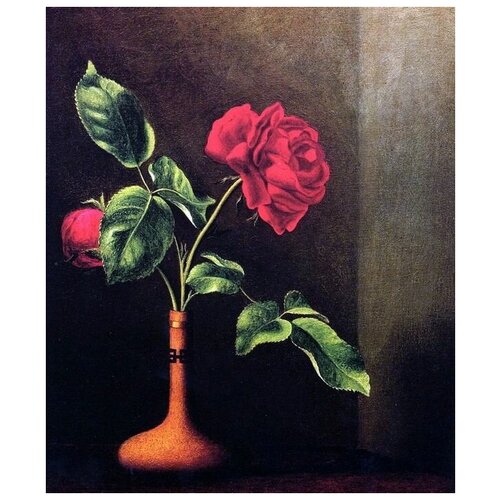      (Rose) 7    30. x 36.,  1130 