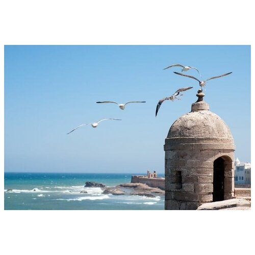        (Seagulls at coast) 45. x 30.,  1340 