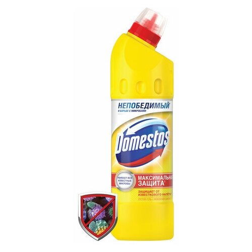  312   500 , DOMESTOS 