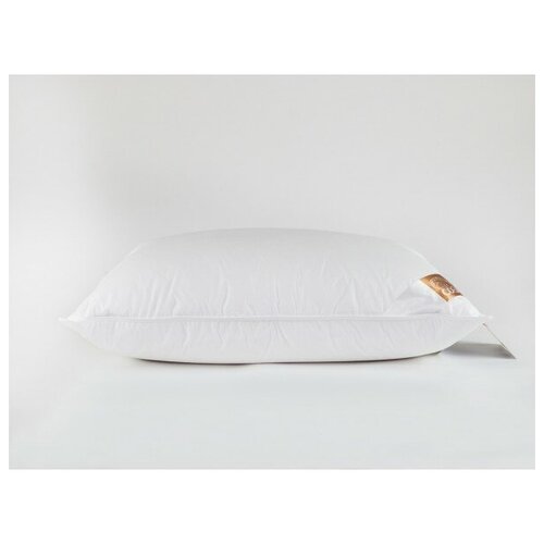  27038  Natur Downfil Pillow 5070 