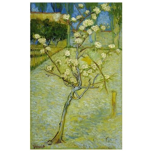  2060         (Small Pear Tree in Blossom)    40. x 64.