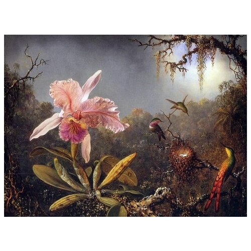  1220        (Cattleya Orchid and Three Brazilian Hummingbirds)    40. x 30.