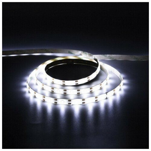  633     , SMD2835, 2 , IP65, 60 LED/, x4,  7892713