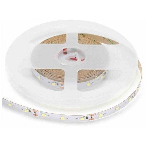  856    00-55-1   12,      6500K,     900 / / 60/ / 9.6/ / smd2835 / IP20 /   5 