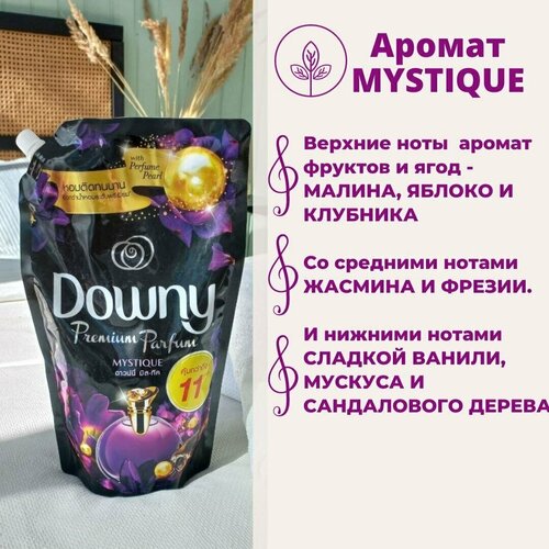  1796     MYSTIQUE  DOWNY, 1000