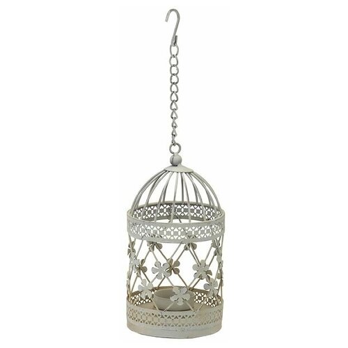 ������ 1168� ���������� ������� ������, 18 ��, Koopman International