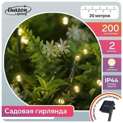  1280   20 ,  , 200 LED,   , 2 ,  