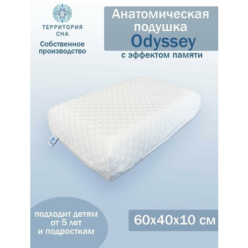  4131      Odyssey S 6040 .     ,  ,   5070 .