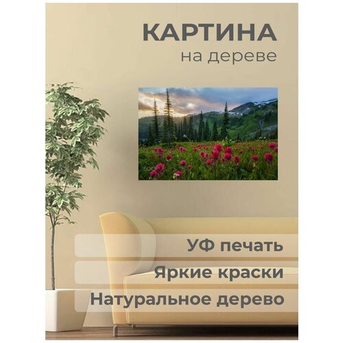 ������ 1001� ����������� ������� �� ������ 