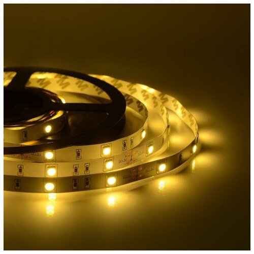  952 C  5 , IP65, SMD2835, 120 LED/, 9.6 /, 12 , 3000